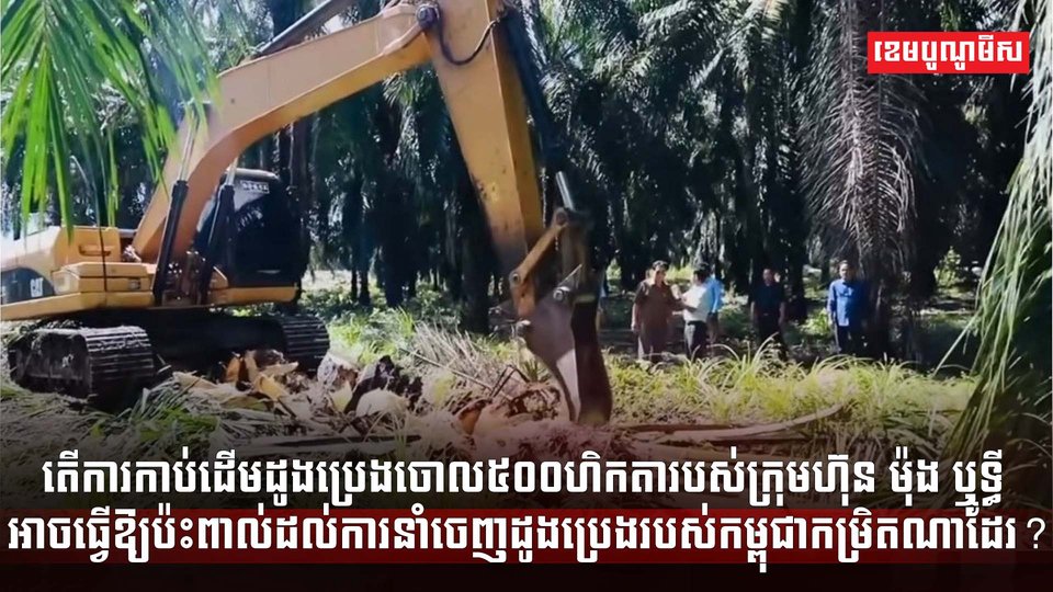 វិស័យកសិកម្ម