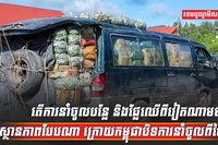 ការនាំចូលបន្លែ