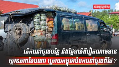 ការនាំចូលបន្លែ