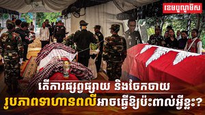 ការផ្សព្វផ្សាយ