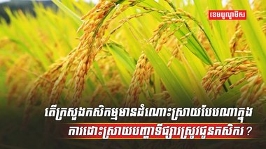 វិស័យកសិកម្ម