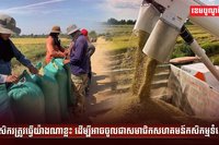 វិស័យកសិកម្ម