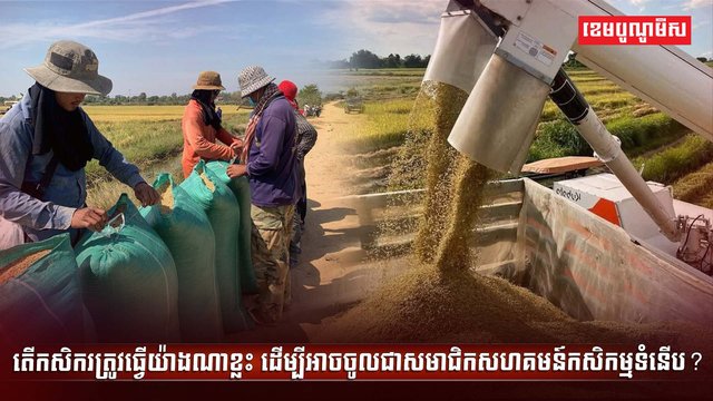 វិស័យកសិកម្ម