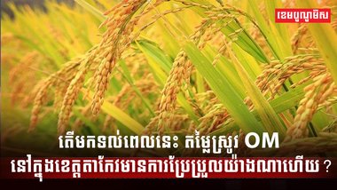 វិស័យស្រូវ អង្ករ