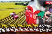 វិស័យកសិកម្ម