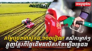 វិស័យកសិកម្ម