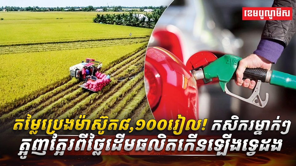 វិស័យកសិកម្ម