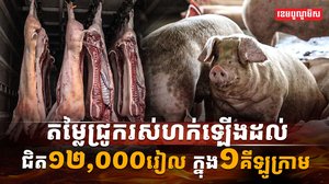 ទីផ្សារជ្រូក