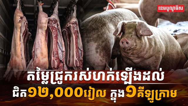 ទីផ្សារជ្រូក