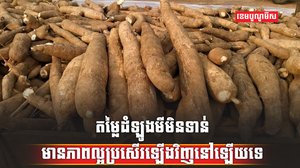 តម្លៃដំឡូងមី