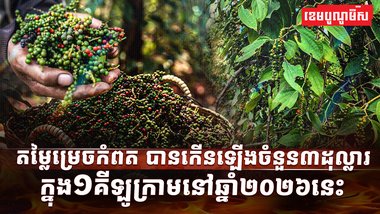 វិស័យកសិកម្ម