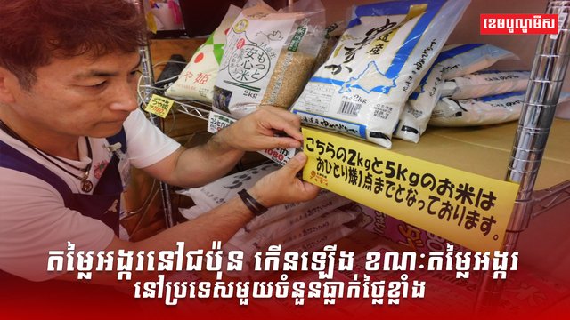 វិស័យស្រូវ អង្ករ