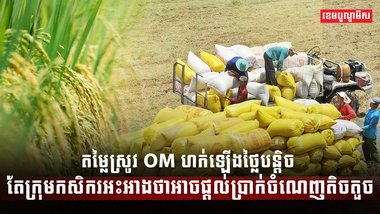 ទីផ្សារស្រូវ OM
