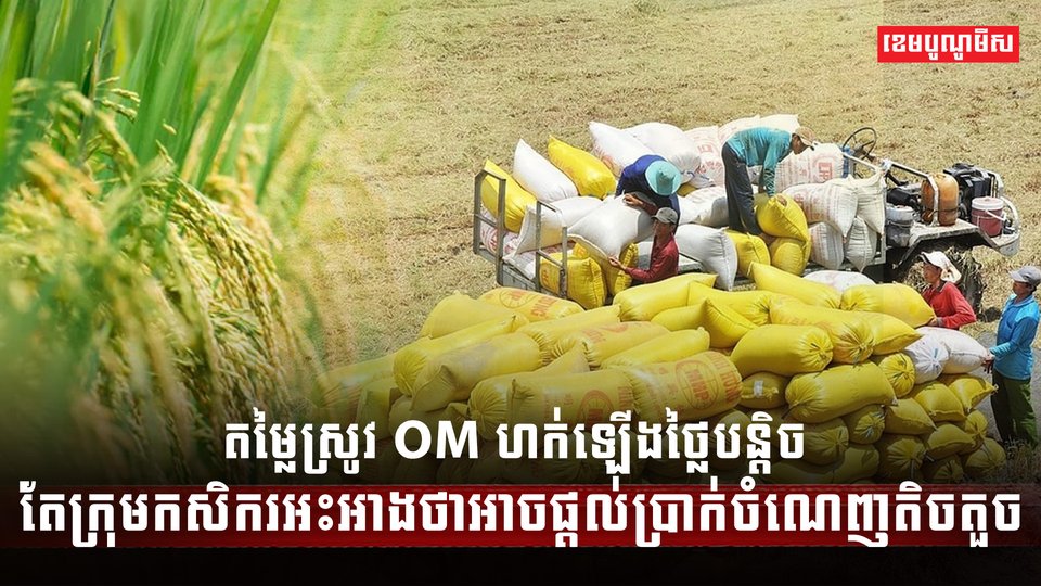 ទីផ្សារស្រូវ OM