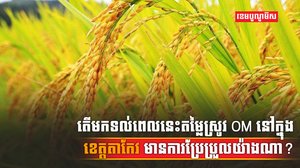 វិស័យស្រូវអង្ករ
