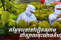 ទុរេននៅវៀតណាម