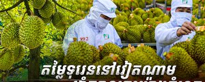 ទុរេននៅវៀតណាម