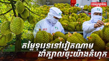 ទុរេននៅវៀតណាម