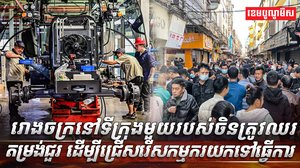 វិស័យការងារ