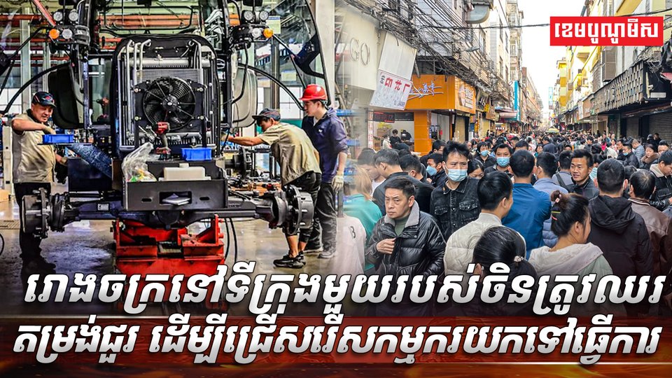 វិស័យការងារ