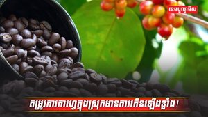 វិស័យកសិកម្ម