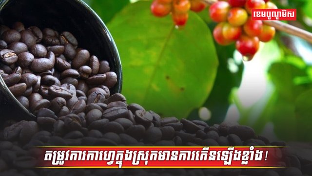 វិស័យកសិកម្ម