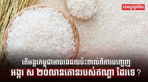 វិស័យស្រូវ អង្ករ