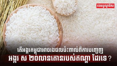 វិស័យស្រូវ អង្ករ