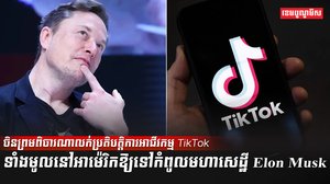 អាជីវកម្ម TikTok