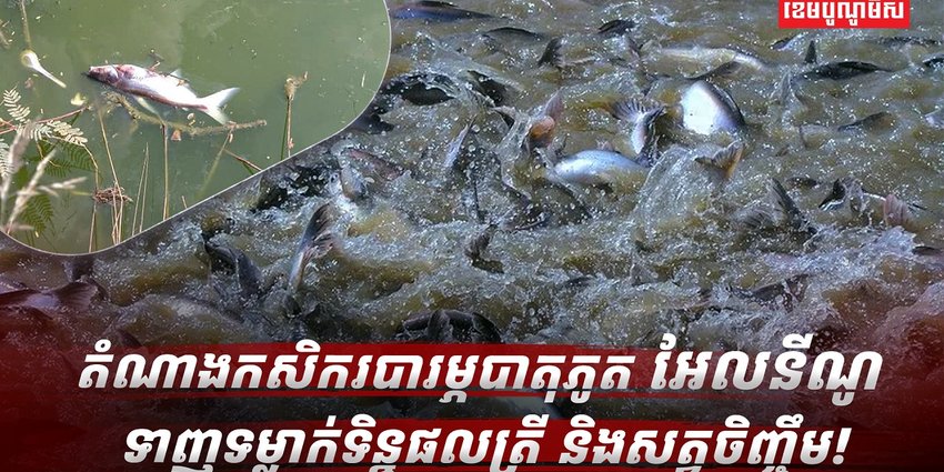 បាតុភូត អែលនីណូ