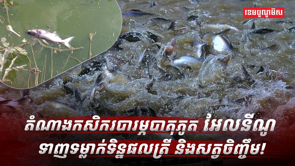 បាតុភូត អែលនីណូ
