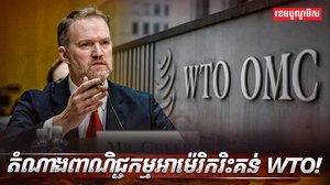 អង្គការ WTO