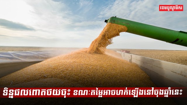 វិស័យកសិកម្ម