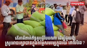 វិស័យស្រូវ អង្ករ