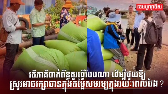 វិស័យស្រូវ អង្ករ