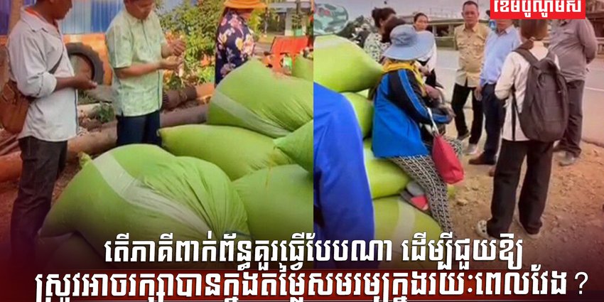 វិស័យស្រូវ អង្ករ