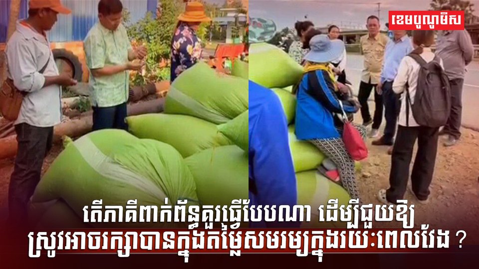 វិស័យស្រូវ អង្ករ