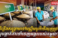 ការនាំចេញអង្ករ