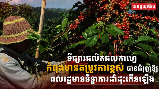 វិស័យកសិកម្ម