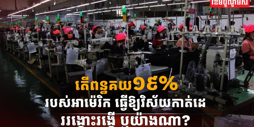 វិស័យកាត់ដេរ