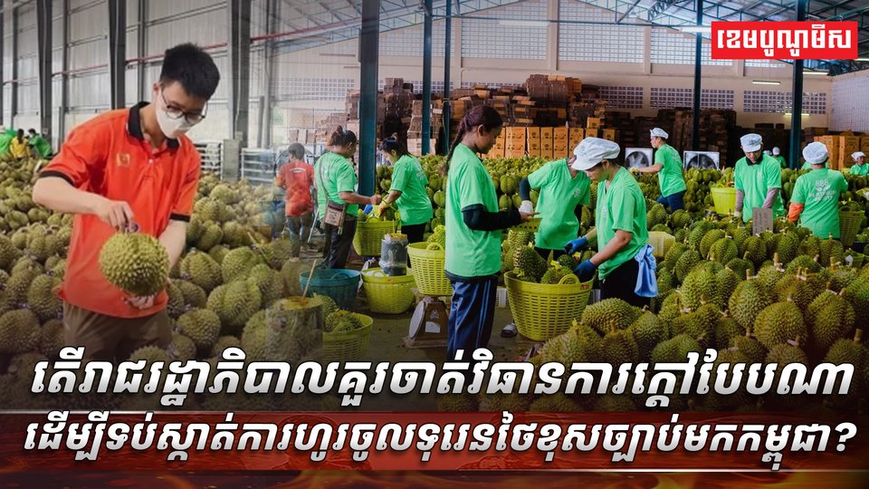 ទុរេនថៃខុសច្បាប់