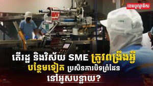 វិស័យ SME