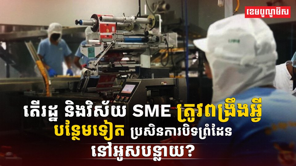 វិស័យ SME