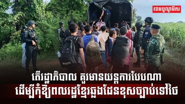 វិស័យការងារ