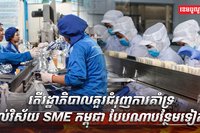 វិស័យ SME