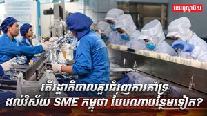 វិស័យ SME