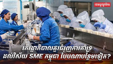 វិស័យ SME