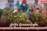 វិស័យ កសិកម្ម