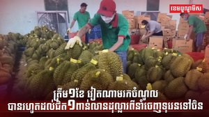 វិស័យ កសិកម្ម