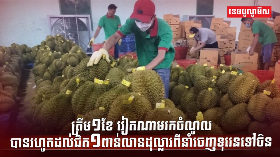 វិស័យ កសិកម្ម